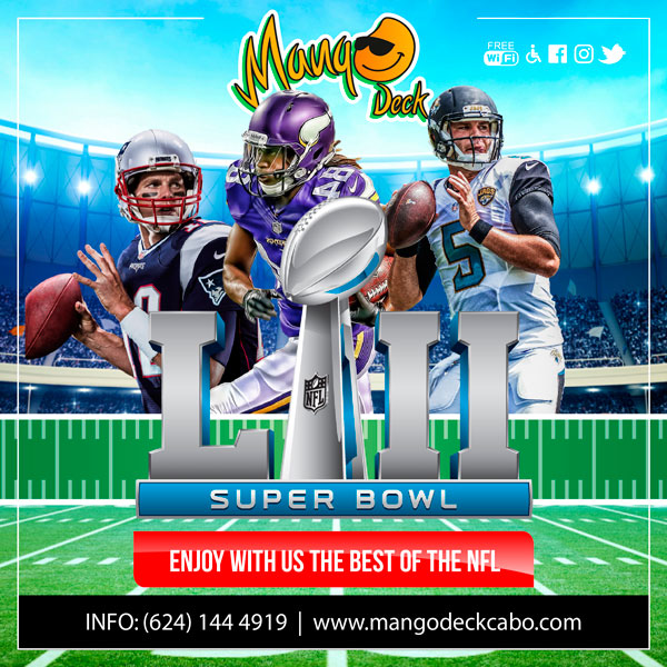 Super Bowl 2017